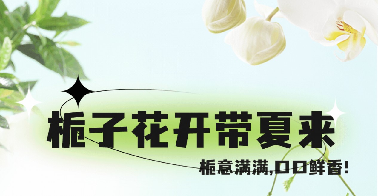 栀子花茶7月新上市 ，栀意满满，带你入夏！
